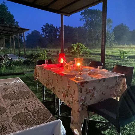 Hotel Wildlife Retreat Tāla Zewnętrze zdjęcie
